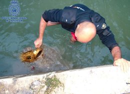 Un agente de la Policía Nacional recupera piezas robadas en Baza