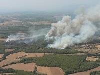 Successos.- Cinc mitjans aeris s'incorporen als treballs d'extinció a Vilopriu
