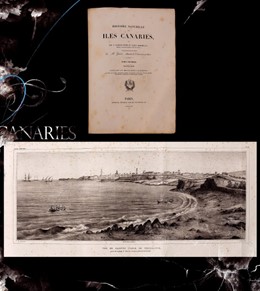 Imagen de la publicación