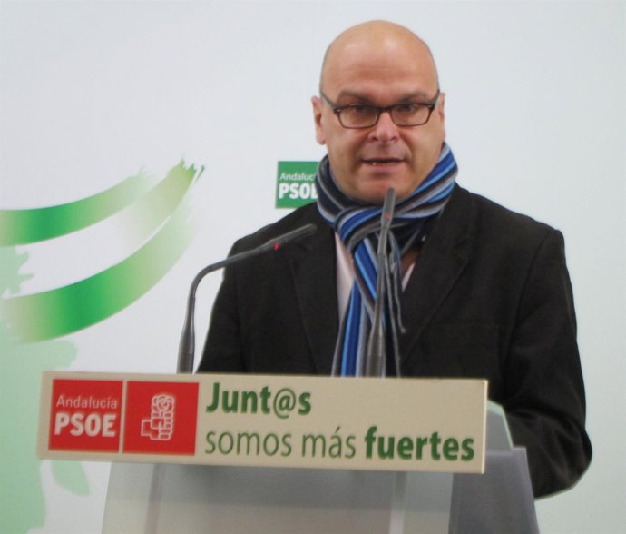 Manuel Fernández Palomino