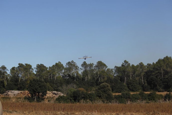 Un avión trabaja en el incendio forestal de Vilopriu