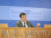 PP-A exige a la Junta que "pida de oficio" la comparecencia de Fernández y Carbonero en el Parlamento