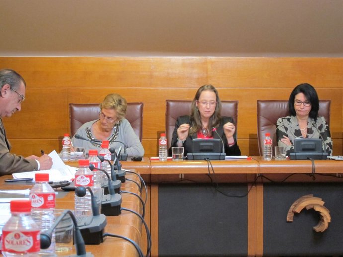 Consejera de Presidencia y Justicia presenta los presupuestos en el Parlamento. 