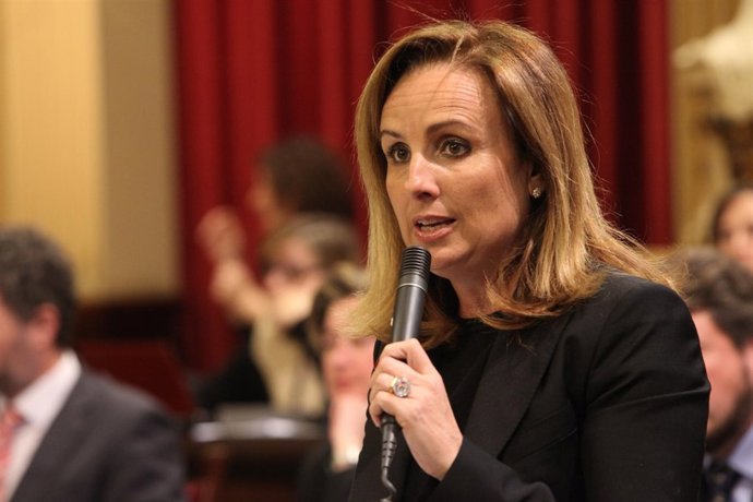 Mabe Cabrer en el Parlament