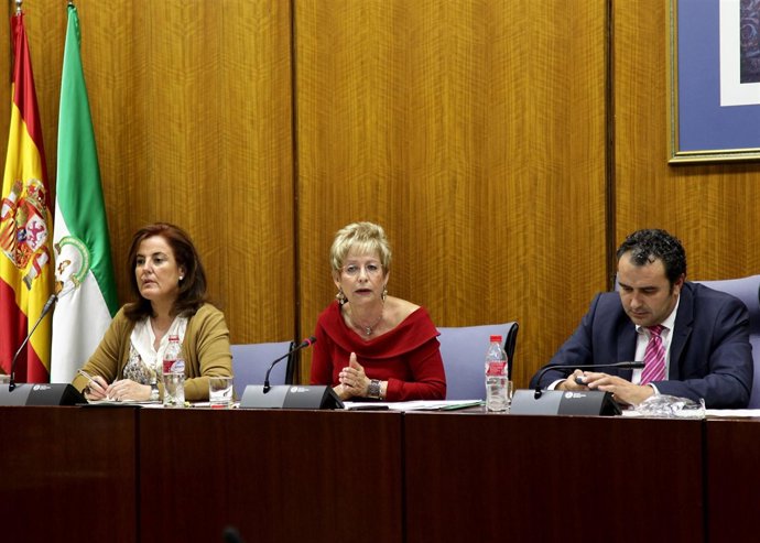 Elena Víboras, en el Parlamento andaluz.