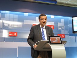 El portavoz parlamentario del PSN, Juan José Lizarbe.