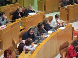 El diputado David Fernández Calviño en el pleno