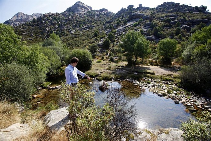 Sarasola en el Parque Nacional del Guadarrama