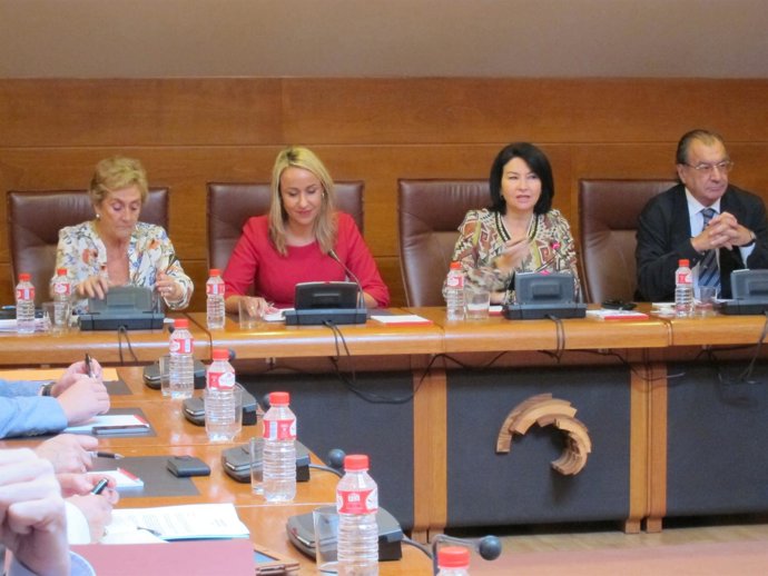 La consejera en el Parlamento 