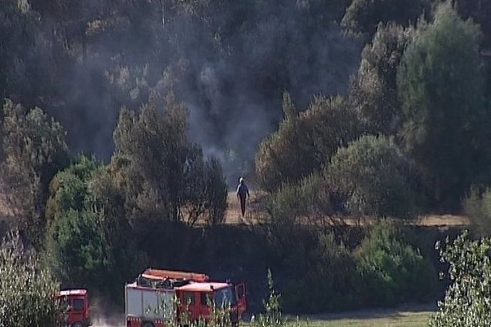El incendio de Vilopriu afecta a 869 hectáreas