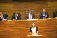 Foro rechaza el nombramiento del director de Políticas Sociales porque "no tiene experiencia en materias de bienestar"