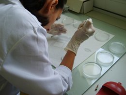 Investigación.