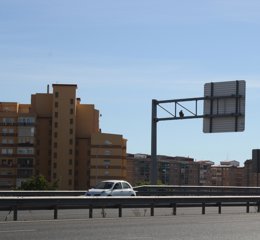 Buitre leonado capturado por la Policía Local de Malaga
