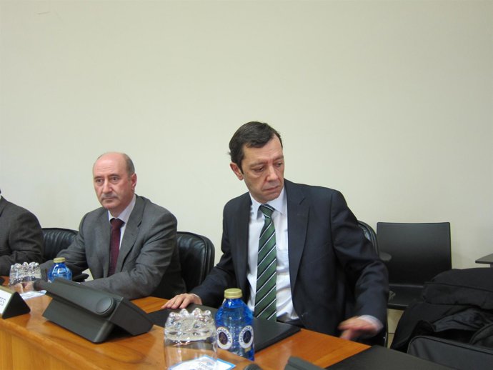 Comisión de Cultura e Educación