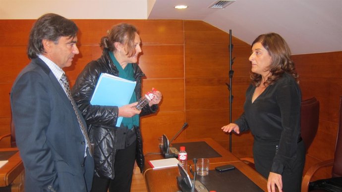 La consejera de Sanidad presenta los presupuestos de 2014 en el Parlamento