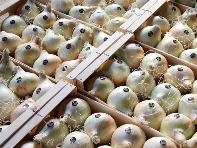Estas cebollas son muy apreciadas