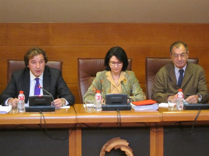 El consejero en el Parlamento 