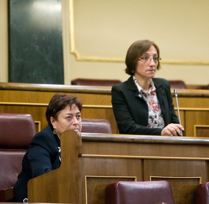 Olaia Fernandez Davila Y Rosana Pérez, Diputadas Del BNG