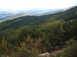 Empieza el proceso de presentación de solicitudes en trabajos medioambientales.