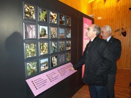 Iglesias en el aula interactiva