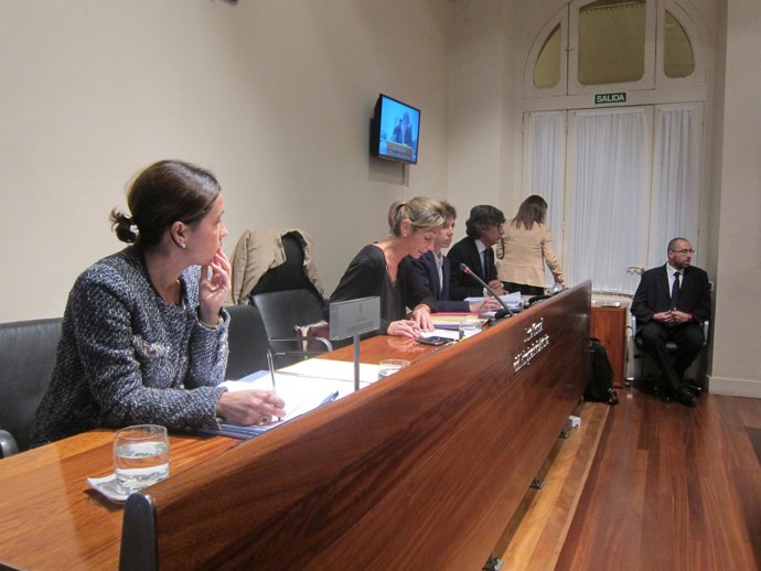 Dolores Carcedo, antes de comenzar la comisión de Hacienda. 