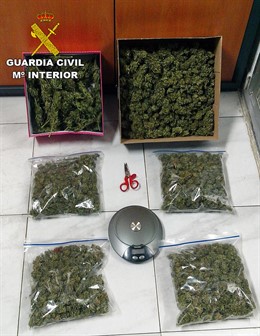 Marihuana intervenida por la Guardia Civil en Valencia de Don Juan