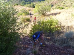 Races Trail Running