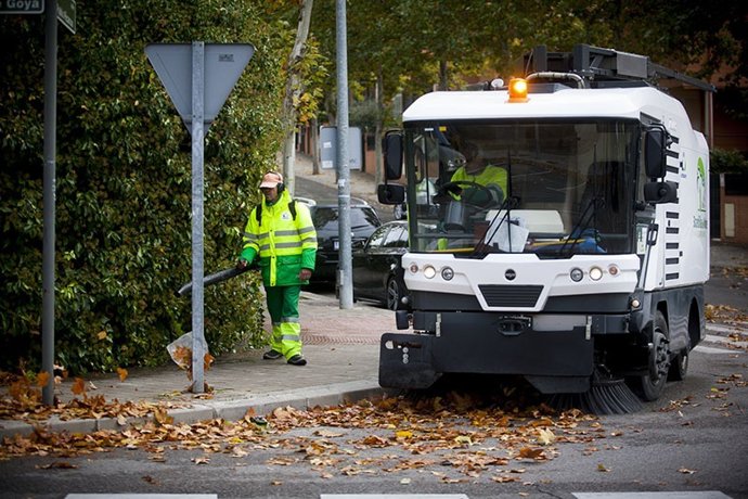 Recogida de hojas en Boadilla