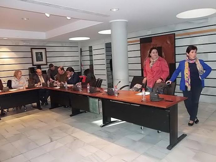 Pleno de Punta con María Sacramento y Amelia Gallardo (PP), en pie. 