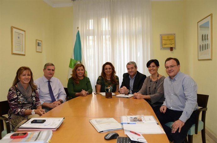 Consejo de Administración de Sinpromi