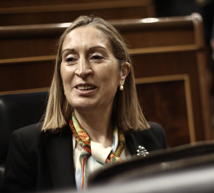 Ana Pastor, ministra de Fomento, en el hemiciclo