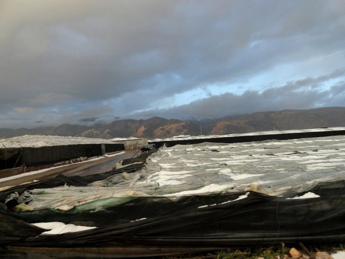 Daños ocasionados en invernaderos por el granizo en El Ejido