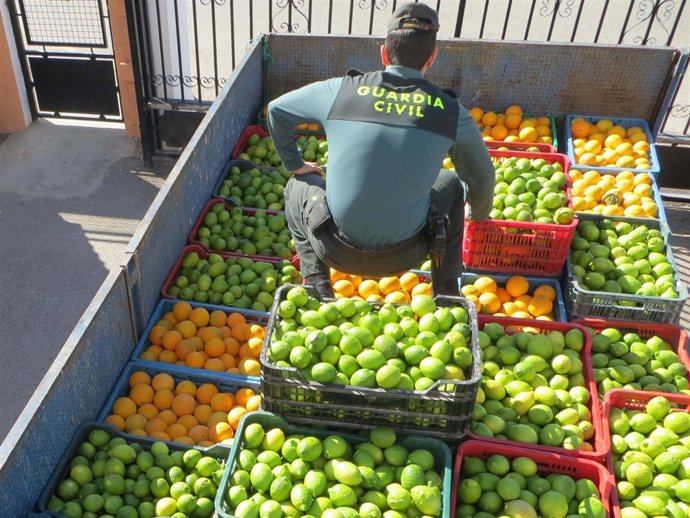 Un agente inspecciona los cítricos robados y recuperados