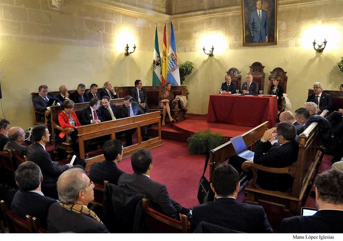 Pleno del Consejo General de la Abogacía Española