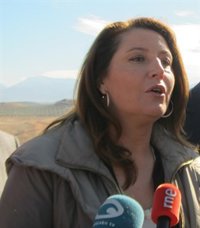 El Gobierno aplicará en 2014 una "rebaja fiscal" a los agricultores afectados por la granizada de El Ejido