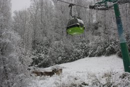 Nieve en la estación de Panticosa