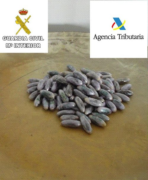 Bellotas intervenidas en el organismo