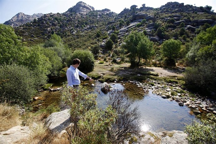 Sarasola en el Parque Nacional del Guadarrama