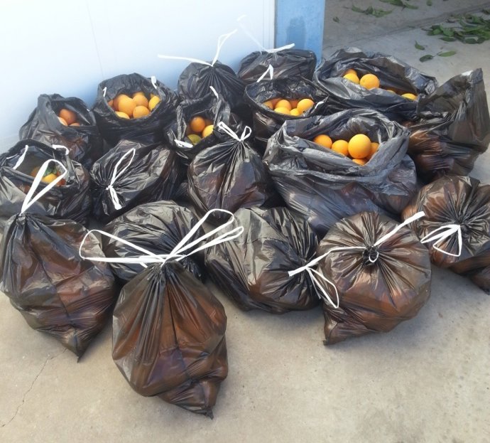 Naranjas robadas en Carmona.