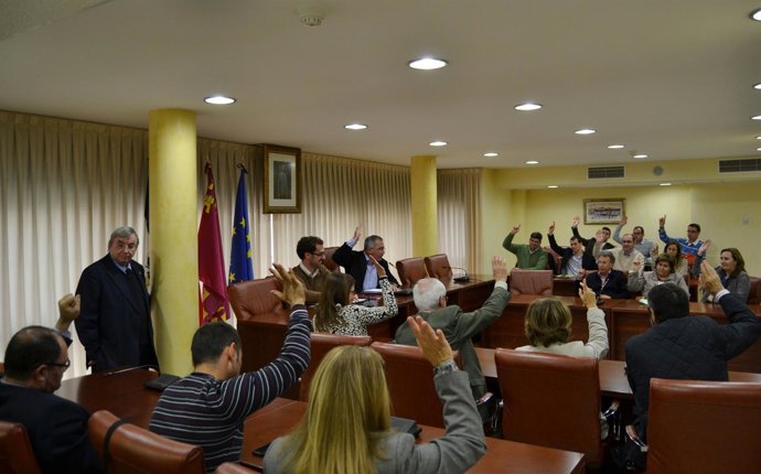 Pleno Municipal de Águilas 