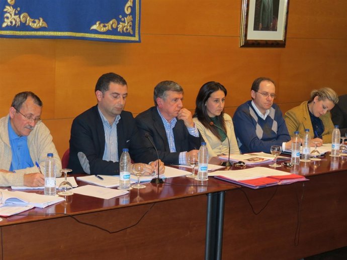 Pleno del Ayuntamiento de Moguer. 