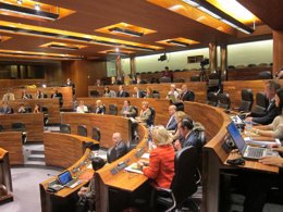 Pleno de la Junta General 22 noviembre 2013