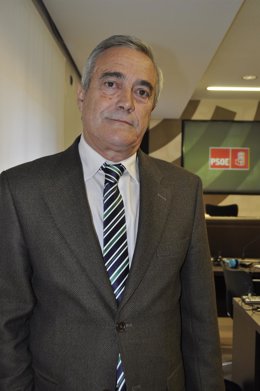 El diputado del PSOE, Javier Sada