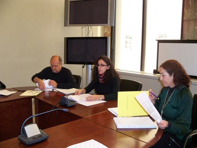 Reunión de la Comisión contra la violencia de género