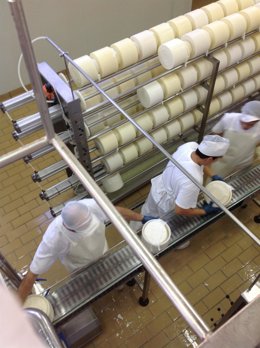 Elaboración de Queso en Dehesa de Los Llanos, mejor queso del mundo 2012, Albace