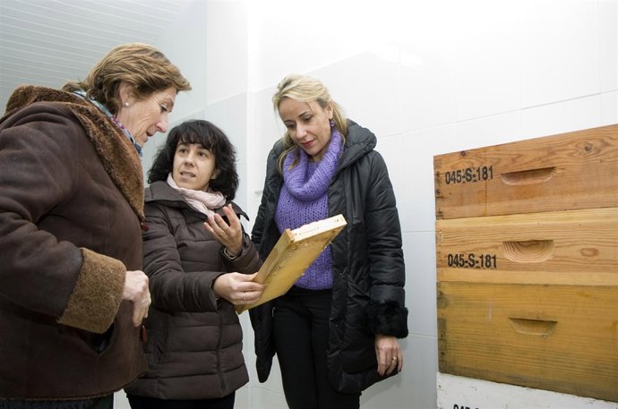 Visita a las instalaciones de Brezomiel