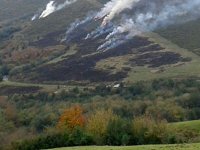 Agroganadería inicia este lunes un curso para formar a ganaderos en quemas controladas del monte