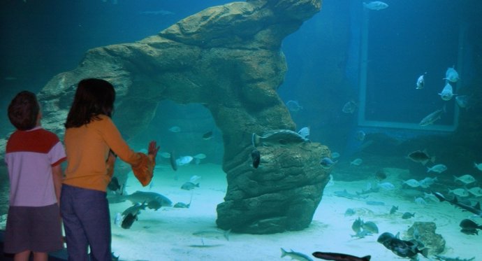 Niños en el Museo Marítimo del Cantábrico