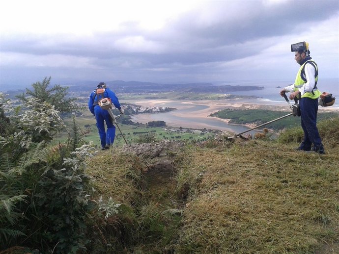 Desbroce del monte Picota