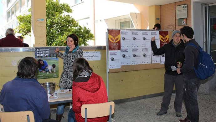 Actividades en la UPO por el Día contra la Violencia sobre la Mujer